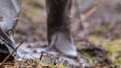 Le chameau stalking boots deals